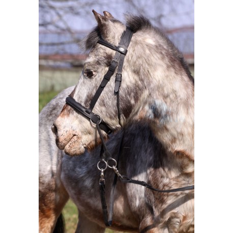 Uzdečka “Walnut“ Pony